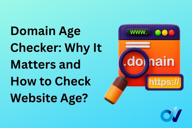 Domain Age Checker: Why It Matters and How to Check Website Age